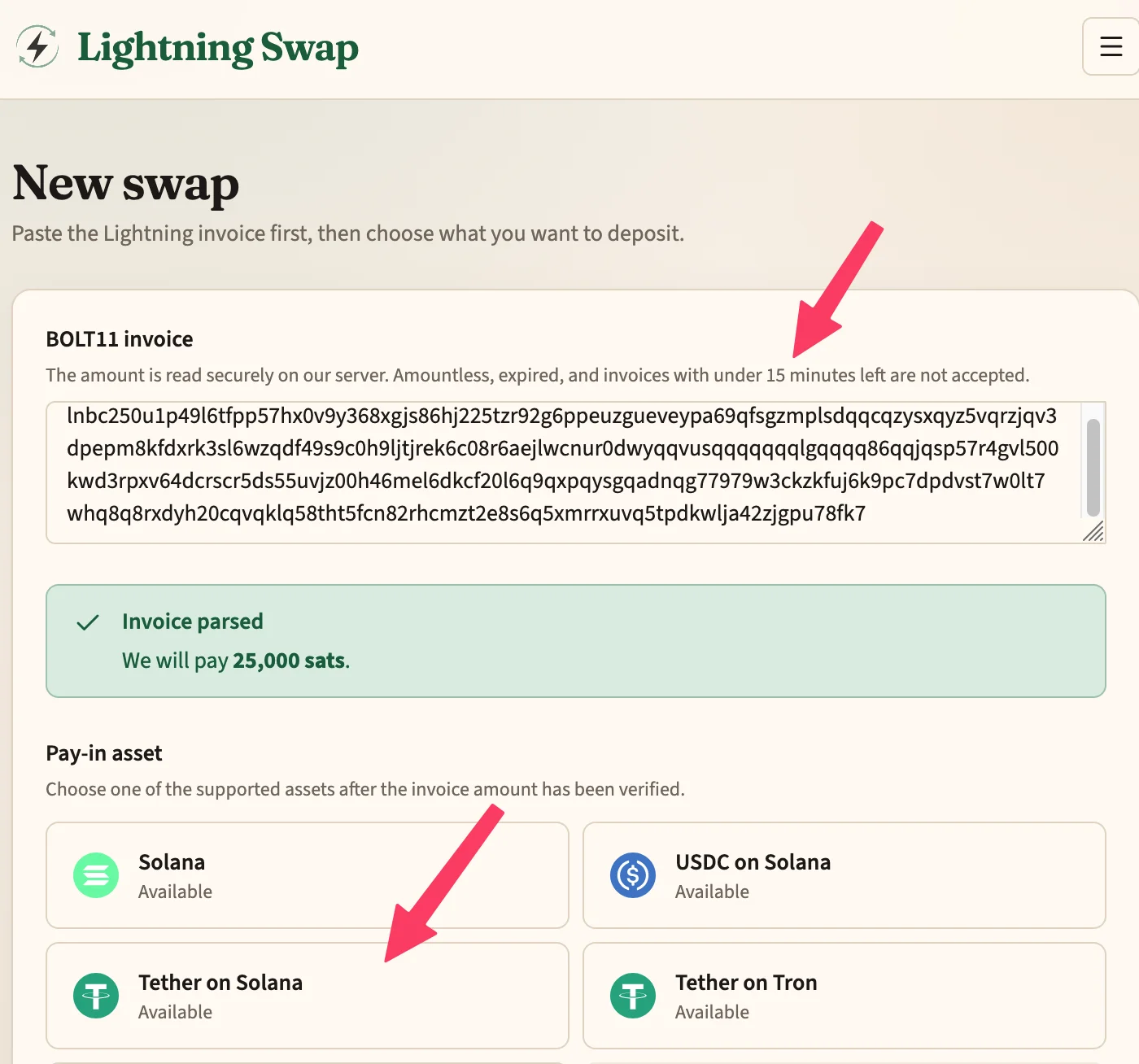 Paste the invoice, then pick a deposit asset