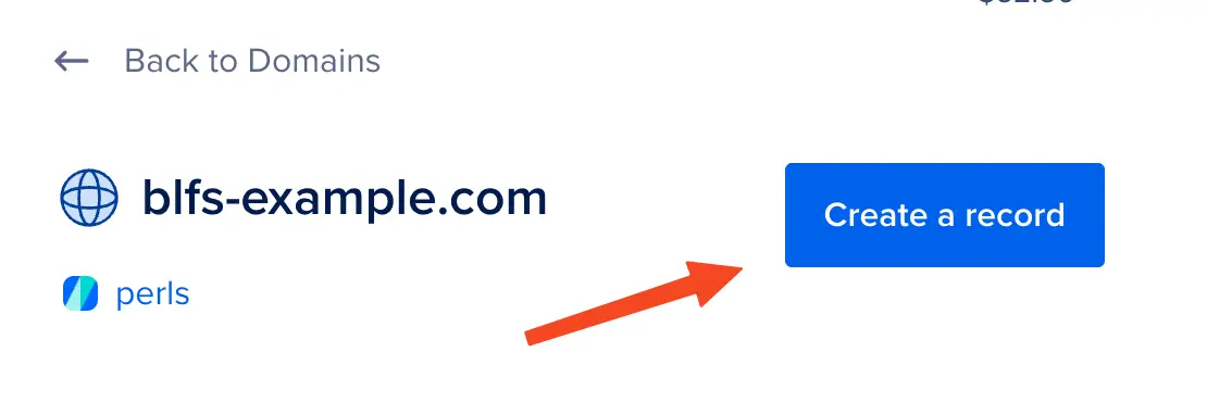 Create a new DNS record