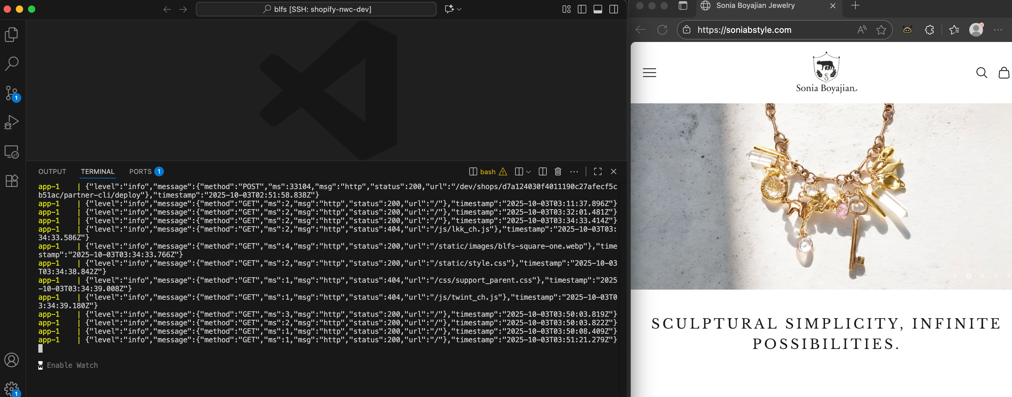 Set up your SSH window and the merchant's store side-by-side for testing
