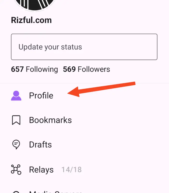 Still in Amethyst ... tap the menu and go to 'Profile'