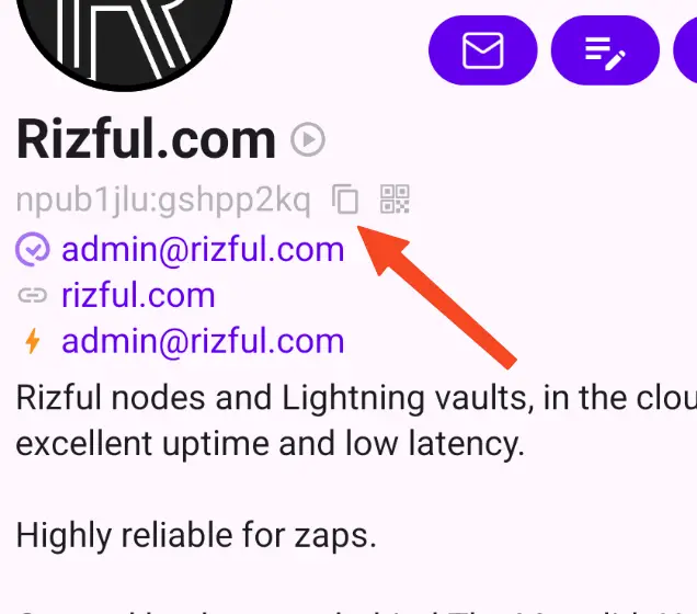 Copy your Nostr public key from Amethyst (the address)