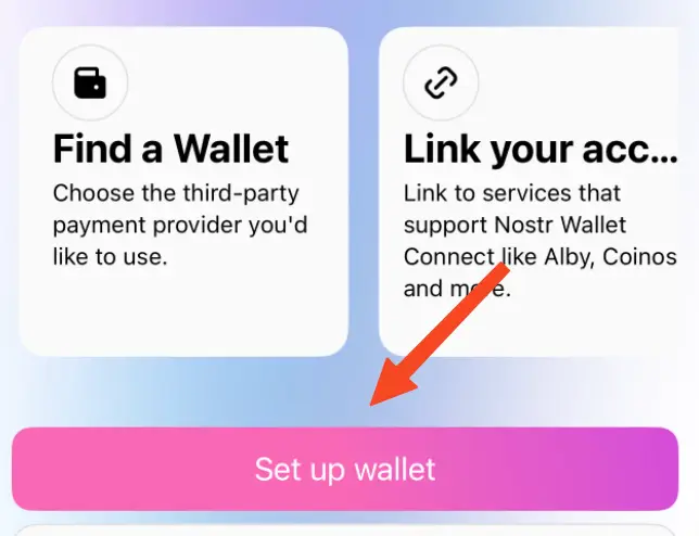 Tap 'Set up Wallet'