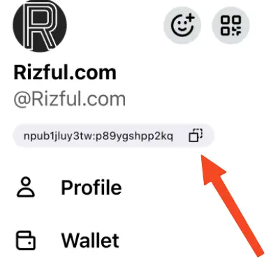 Copy your Nostr public key from Damus