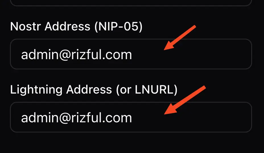 Add your Rizful Lightning address to both 'Nostr Address (NIP-05)' and 'Lightning Address (or LNURL)' fields, then save