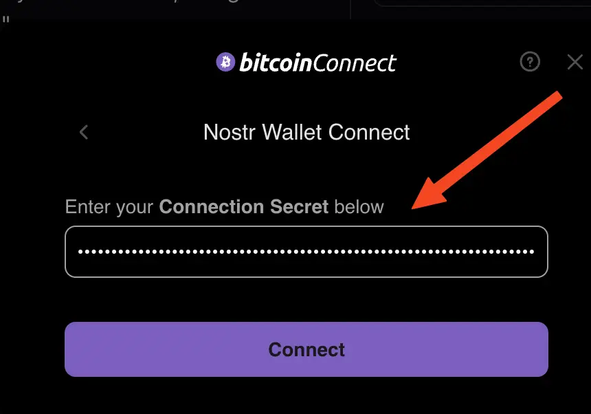 Paste your NWC connection string from Rizful and tap 'Connect'