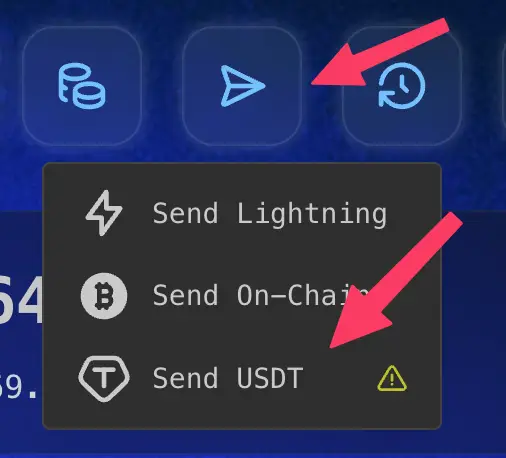 Select Send USDT from the menu