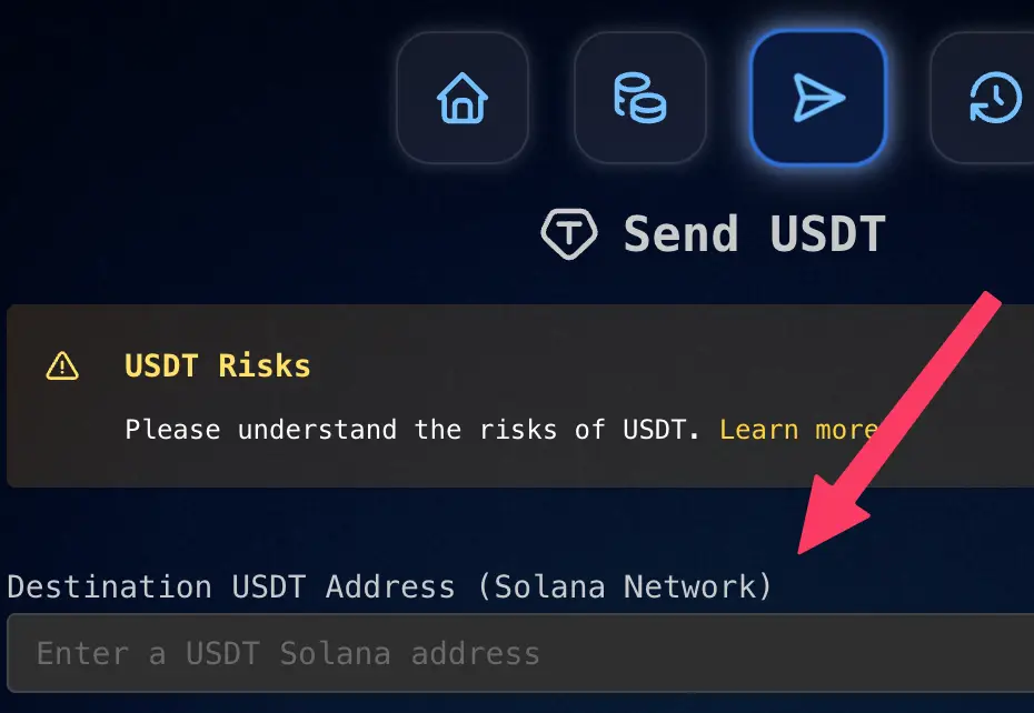 Enter the recipient's USDT address on the Solana network