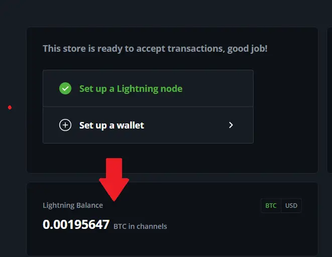 You should now see your Rizful node's balance in BTCPay!